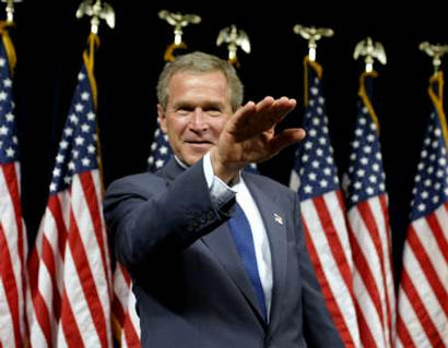 Bush Salute.jpg
